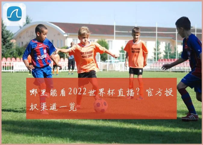 哪里能看2022世界杯直播？官方授权渠道一览