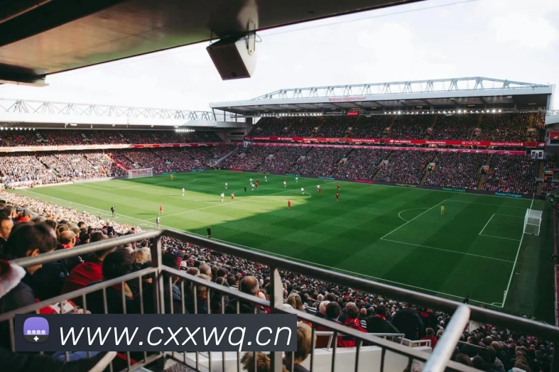 体育直播服务